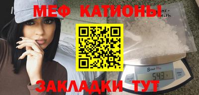 прущие грибы Краснознаменск