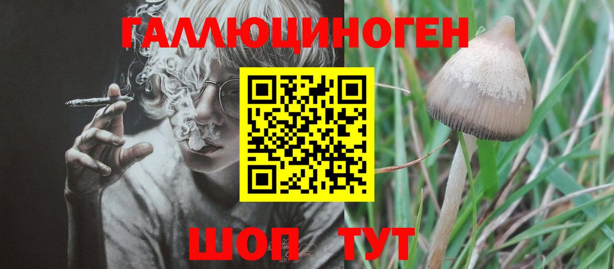 Галлюциногенные грибы Cubensis  Псилоцибиновые грибы Cubensis  Вход с VPN  Корсаков 
