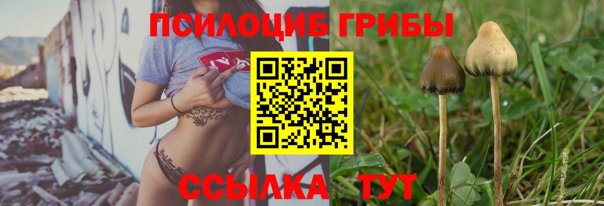 Псилоцибиновые грибы прущие грибы Корсаков
